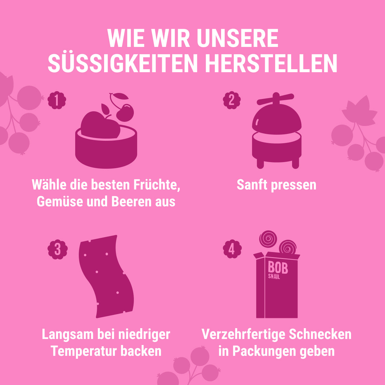 BoB Snail Fruchtrollen Apfel-Schwarze Johannisbeere 20x 60 g
