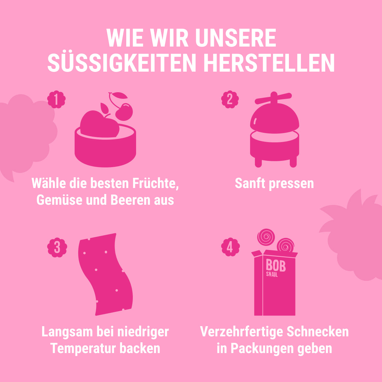 BobSnail Fruchtrollen Apfel-Himbeer24 x 30 g