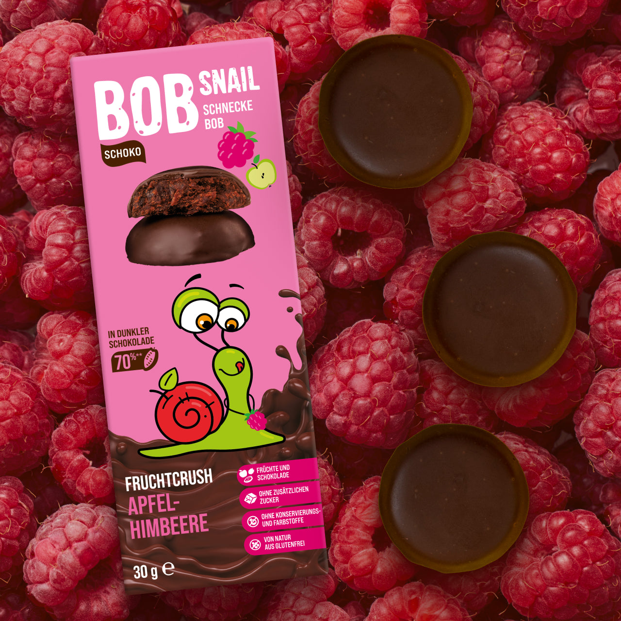 Apfel-Erdbeer, Himbeere etc. in Vollmilchschokolade 24 x 30 g