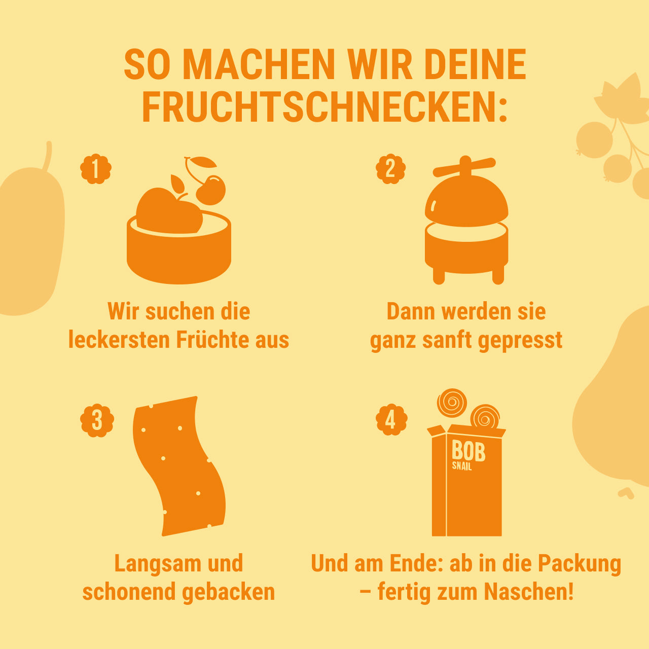 Bob Snail Set 10 - Fruchtrollen je 5 x 60g (Apfel-Erdbeere, Himbeere, Birne, Johannisbeere)