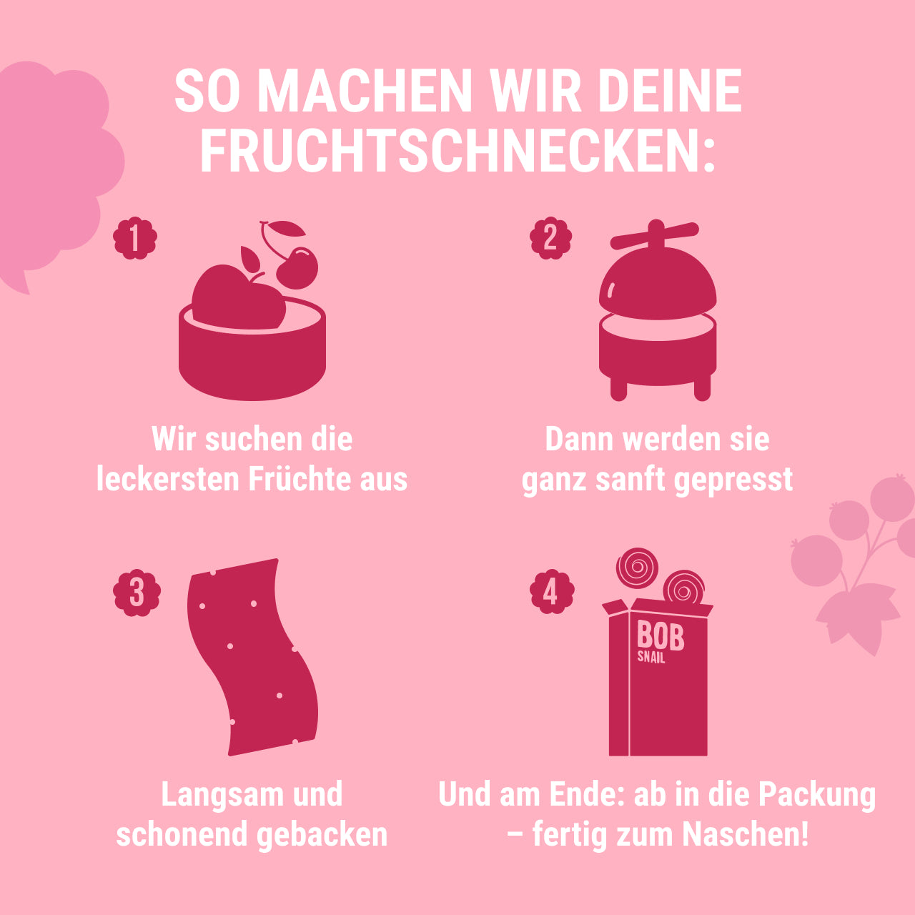 Bob Snail Set 8 - Fruchtrollen je 10 x 60g (Apfel-Himbeere & Apfel-Johannisbeere) – 100 % Frucht, vegan, ohne Zuckerzusatz