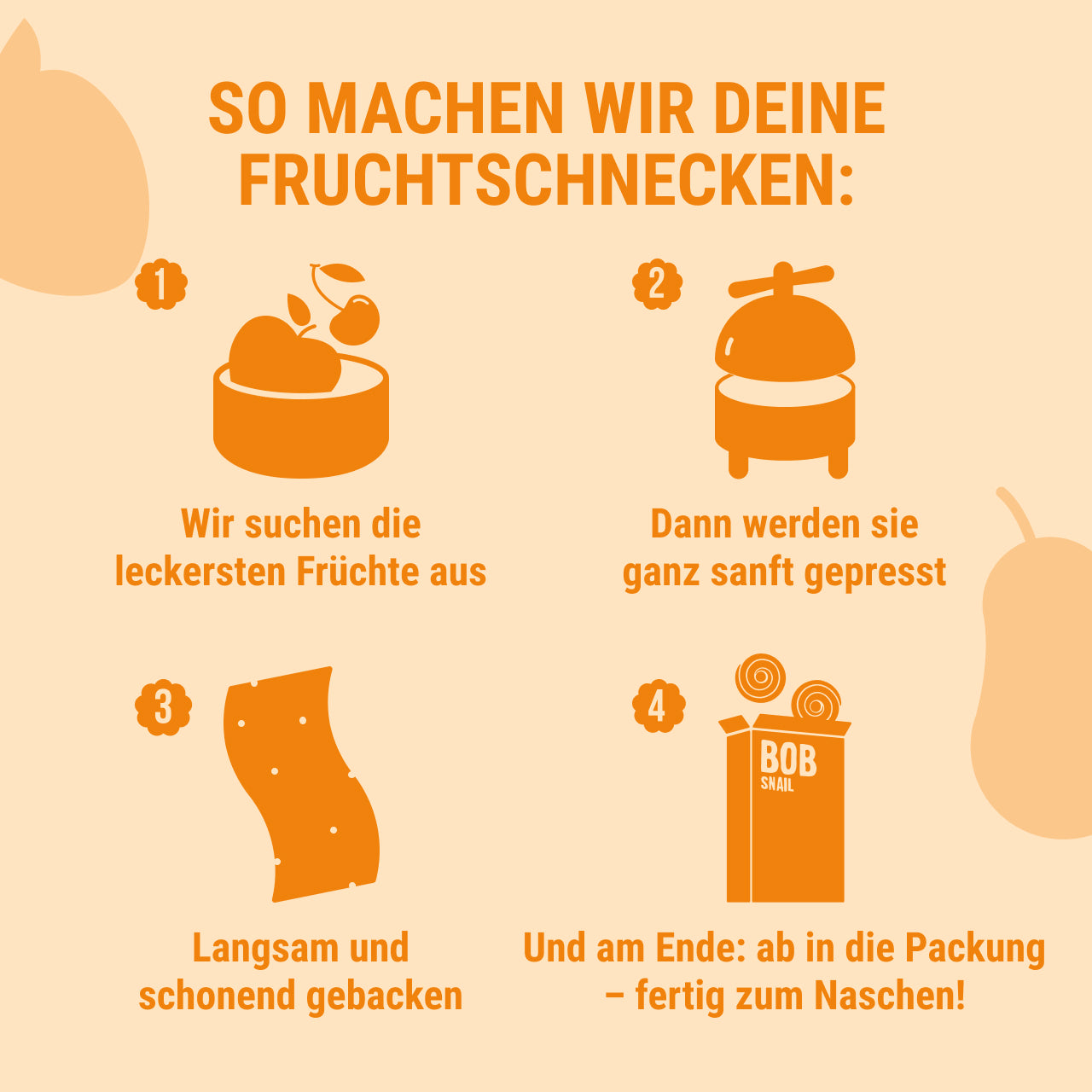 Bob Snail Set 6 – Fruchtrollen & Fruchtcrush je 6 x 30g (Rollen: Apfel-Heidelbeere, Apfel-Himbeere | Crush: Apfel-Himbeere, Mango)