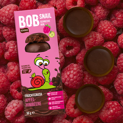 Apfel-Erdbeer, Himbeere etc. in Vollmilchschokolade 24 x 30 g