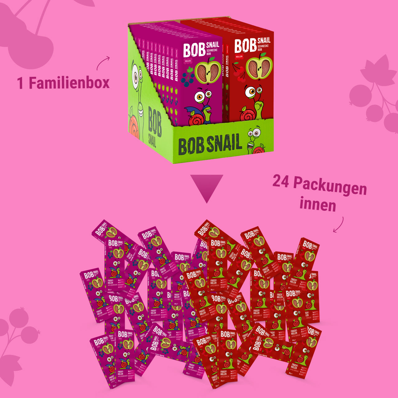 Bob Snail Set 18 - Fruchtrollen je 12 x 30g (Apfel-Kirsche, Apfel-Johannisbeere)