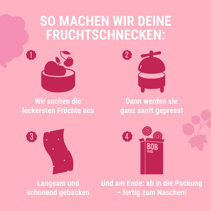 Bob Snail Set 8 - Fruchtrollen je 10 x 60g (Apfel-Himbeere & Apfel-Johannisbeere) – 100 % Frucht, vegan, ohne Zuckerzusatz