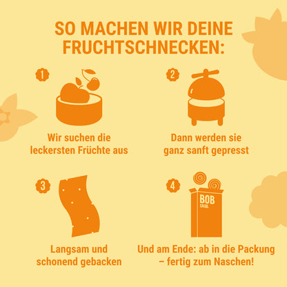 Bob Snail Set 1 – Fruchtrollen je 6 x 30g (Apfel-Heidelbeere, Apfel-Erdbeere, Mango, Apfel-Himbeere)