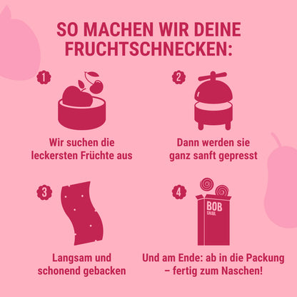 Bob Snail Set 5 – Fruchtrollen & Fruchtcrush je 6 x 30g (Rollen: Apfel-Himbeere, Apfel-Heidelbeere | Crush: Apfel-Erdbeere, Apfel-Birne)