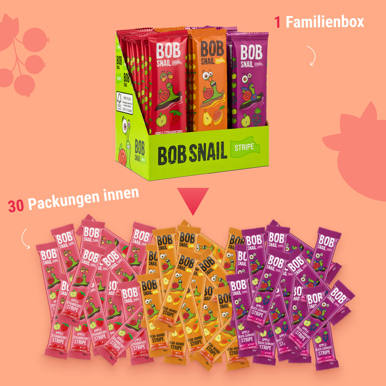 Bob Snail Set 21 - Fruchtstreifen je 10x14g Apfel-Erdbeere, Birne-Mango, Apfel-Johannisbeere