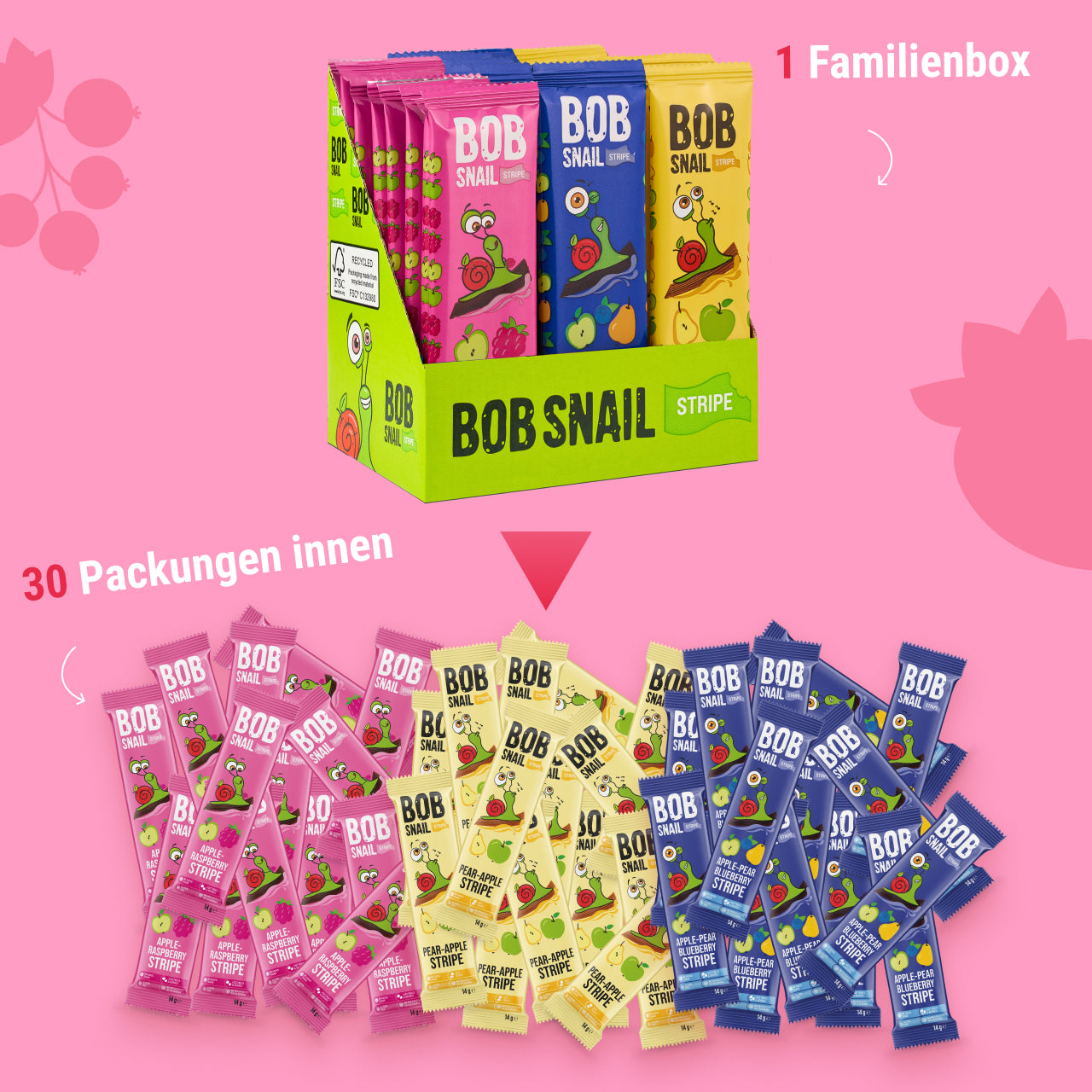 Bob Snail Set 22 - Fruchtstreifen je 10x14g Apfel-Himbeere, Birne-Apfel, Apfel-Birne-Heidelbeere